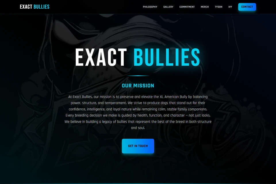 Exact Bullies website preview